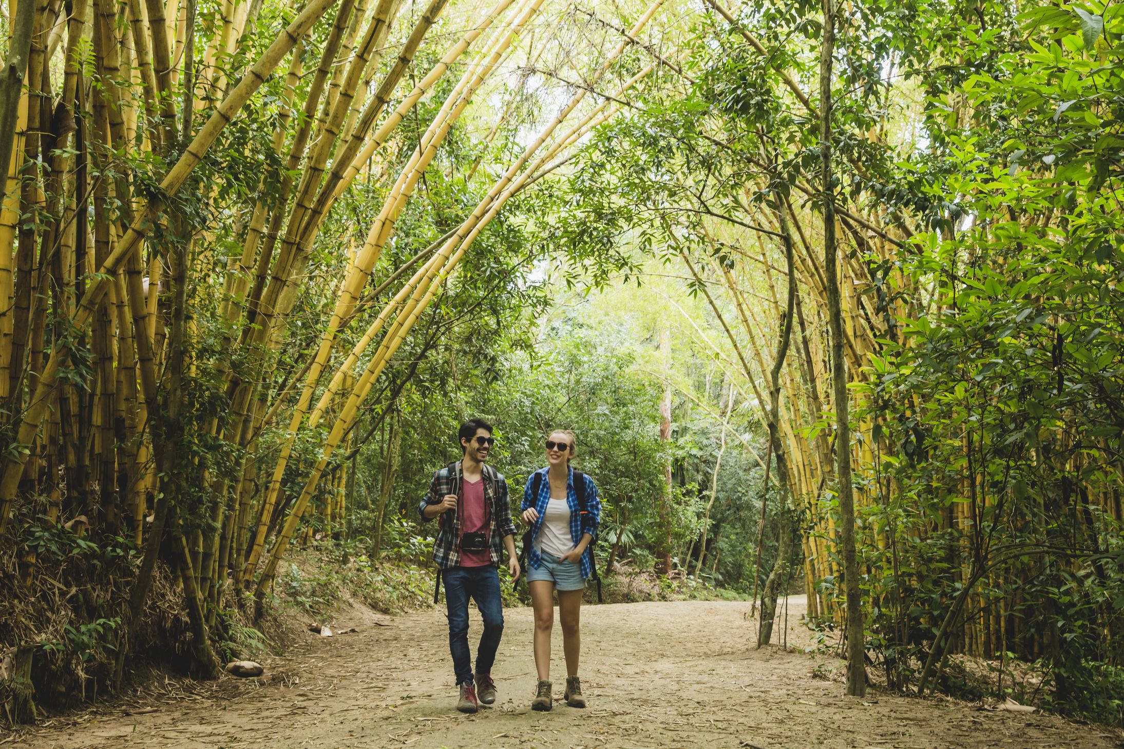 couple walking through bamboo forest