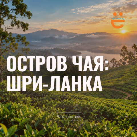 КТО СКАЗАЛ, ЧТО ЗИМОЙ МОЖНО ТОЛЬКО В ЕГИПЕТ? ШРИ-ЛАНКА УДИВИТ!
