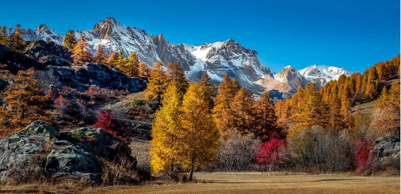 a-href_https_ru.freepik.comfree-photolandscape-view-of-mountains-covered-in-snow-and-autumn-trees_12909788.htmqueryD0B4D0BED0BCD0B1D0B0D0B920D0BED181D0B5D0BDD18CD18Eposition0from_view