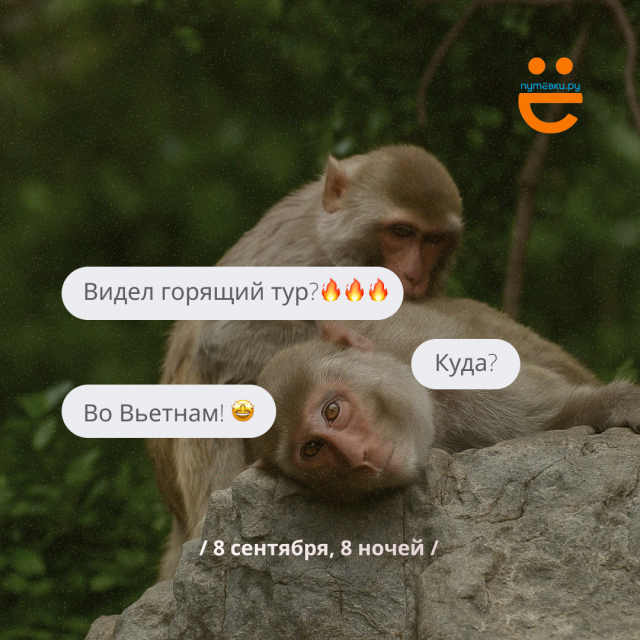 Мы в шоке от цен на туры во Вьетнам!