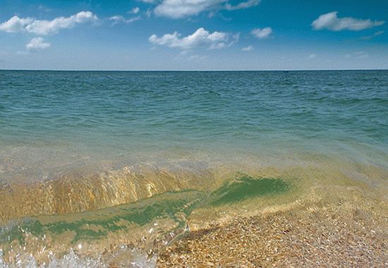 Горящие путевки на азовское море